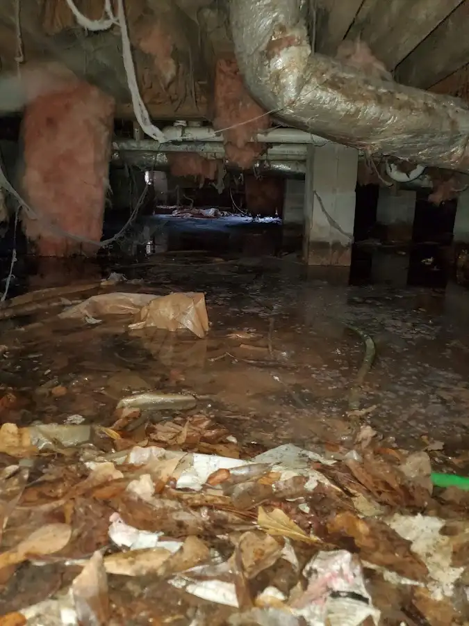 Crawl space flood assessment for Leak Detection & Repair in Grapevine